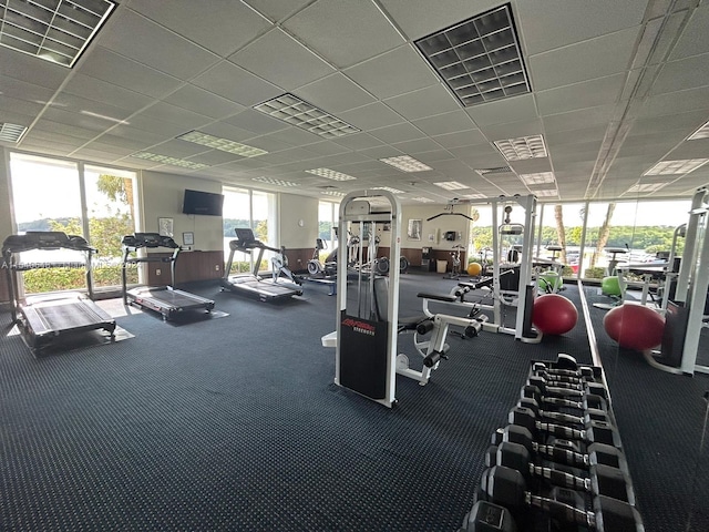 workout area featuring expansive windows, dark carpet, and a paneled ceiling