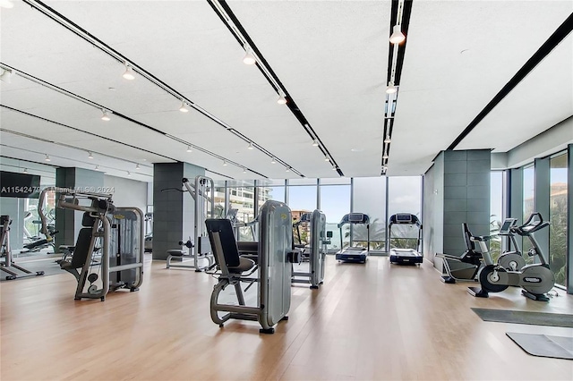 gym with hardwood / wood-style flooring, a wealth of natural light, and a wall of windows