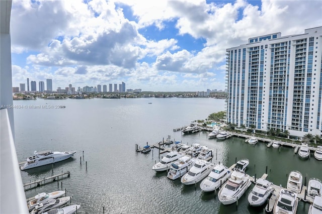 water view with a dock