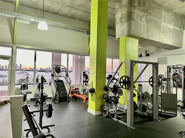 workout area with a water view