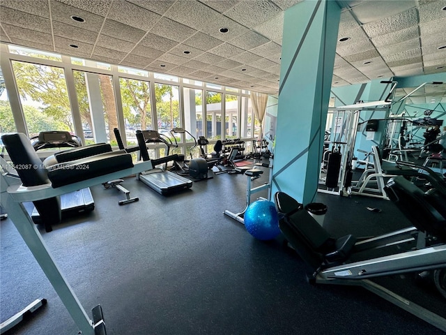 exercise room featuring floor to ceiling windows and a drop ceiling