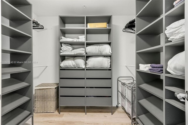 spacious closet with light hardwood / wood-style floors