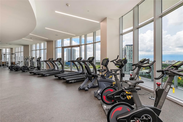 exercise room featuring floor to ceiling windows and a healthy amount of sunlight