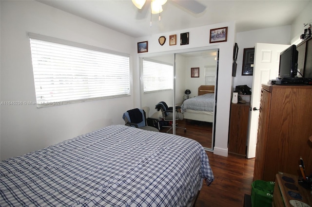 bedroom with dark hardwood / wood-style flooring, ceiling fan, and a closet