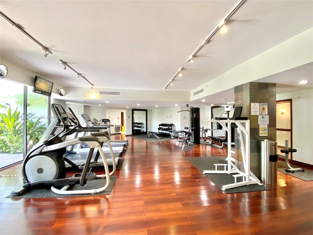 workout area featuring rail lighting and dark hardwood / wood-style floors