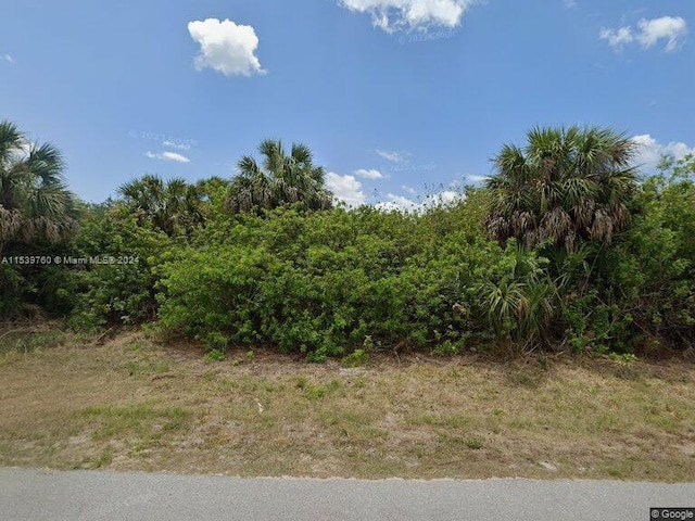 17173 Canary Ln, Port Charlotte FL, 33948 land for sale