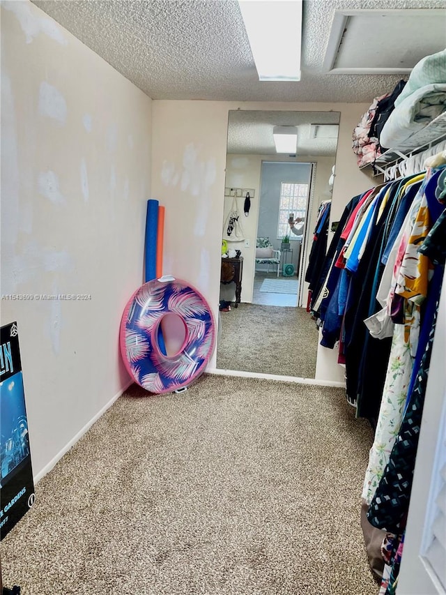 spacious closet with carpet