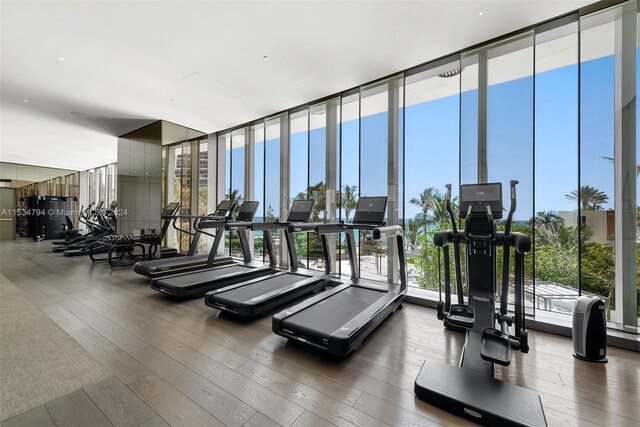 exercise room featuring hardwood / wood-style flooring and floor to ceiling windows