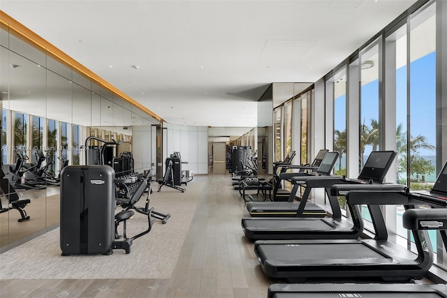 exercise room featuring light hardwood / wood-style floors and a wall of windows