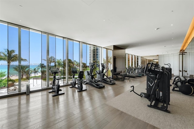 workout area featuring hardwood / wood-style flooring, floor to ceiling windows, and a water view