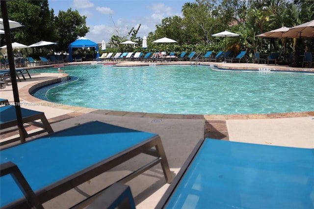 view of pool with a patio area