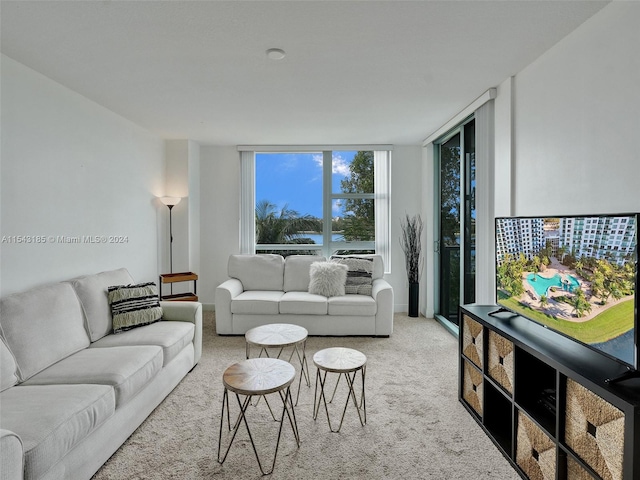 carpeted living room featuring a wall of windows