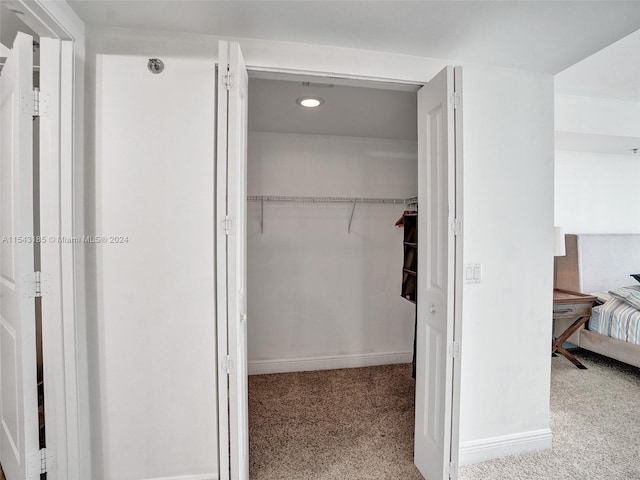 view of closet