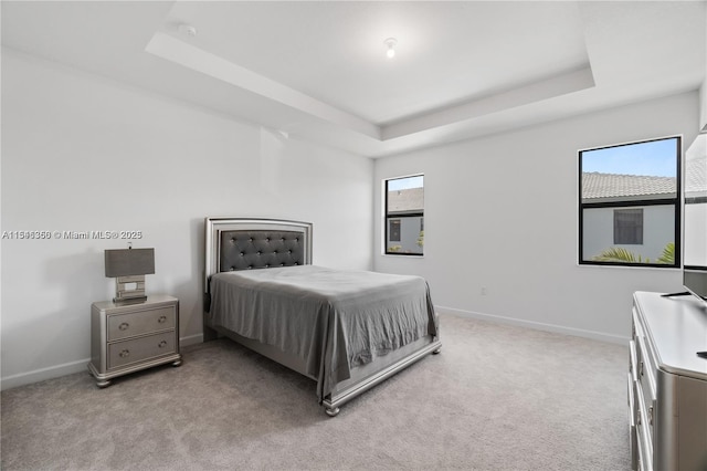 carpeted bedroom with a raised ceiling