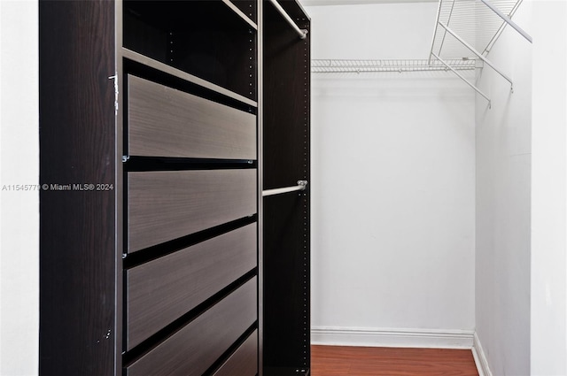 spacious closet featuring dark hardwood / wood-style floors