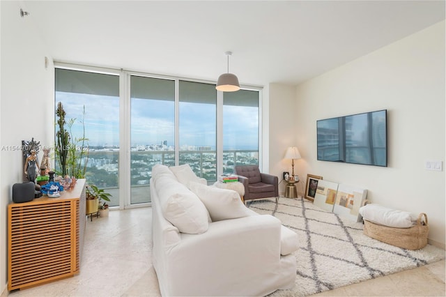 living room with expansive windows