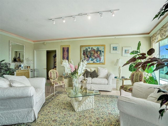 living room with track lighting, ornamental molding, and a wealth of natural light