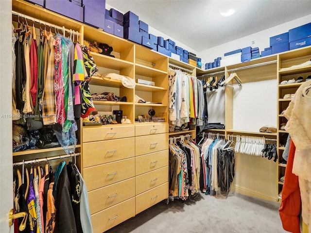 spacious closet featuring dark carpet