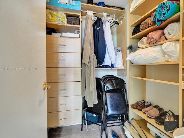 spacious closet featuring carpet