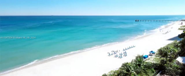 property view of water with a beach view