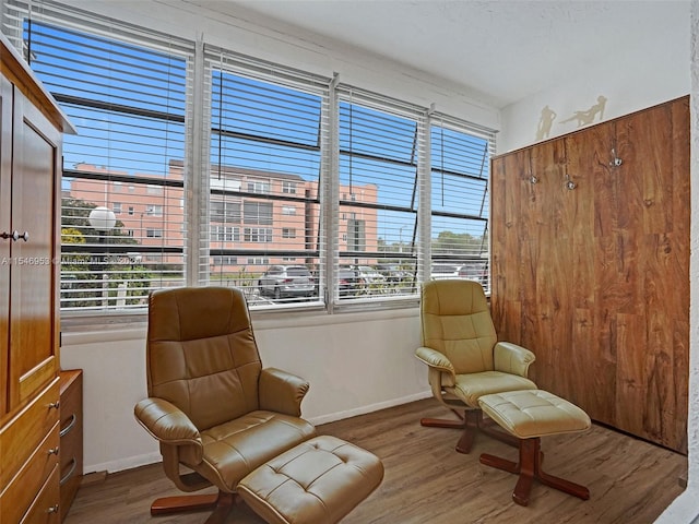 living area with dark hardwood / wood-style floors