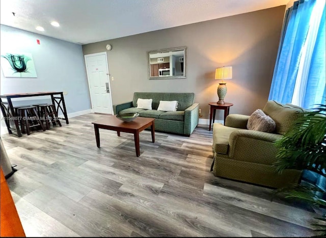 living room with light wood-type flooring