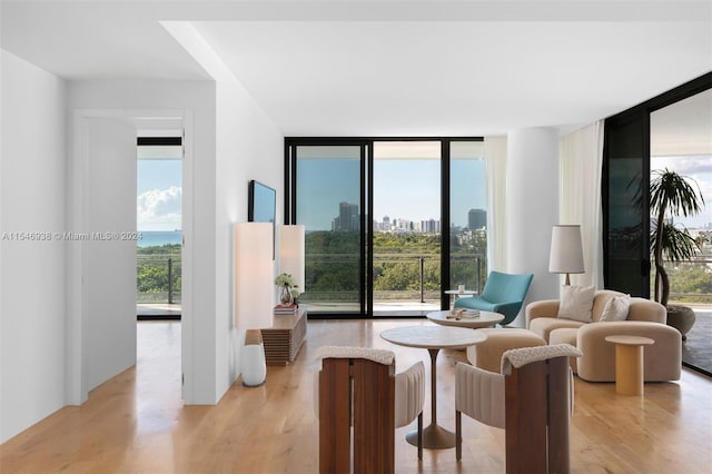 living room featuring light wood-type flooring, floor to ceiling windows, and a healthy amount of sunlight