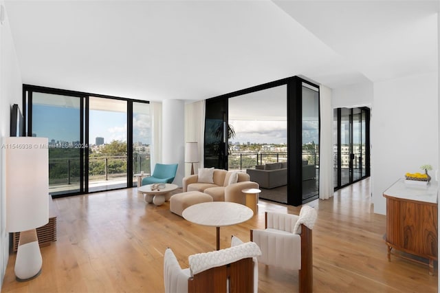 living room with floor to ceiling windows and light hardwood / wood-style floors