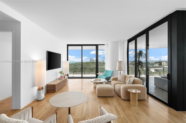 living room with floor to ceiling windows and light hardwood / wood-style floors