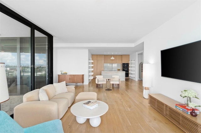 living room with light wood-type flooring and floor to ceiling windows