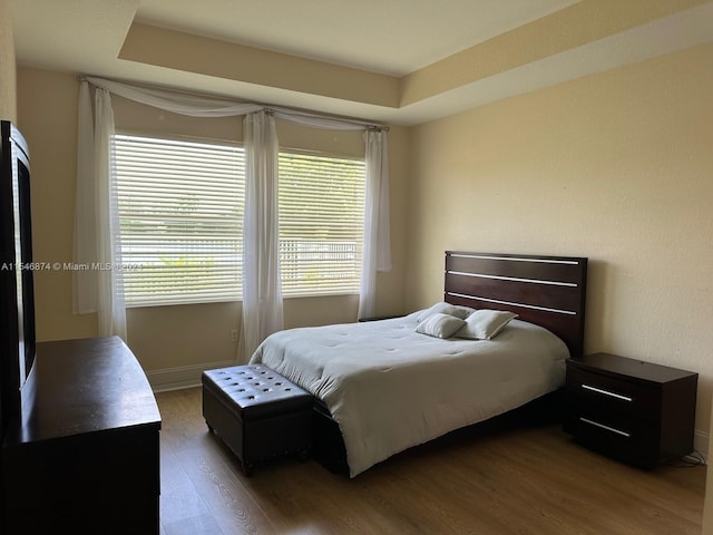 bedroom featuring a raised ceiling and dark wood-type flooring