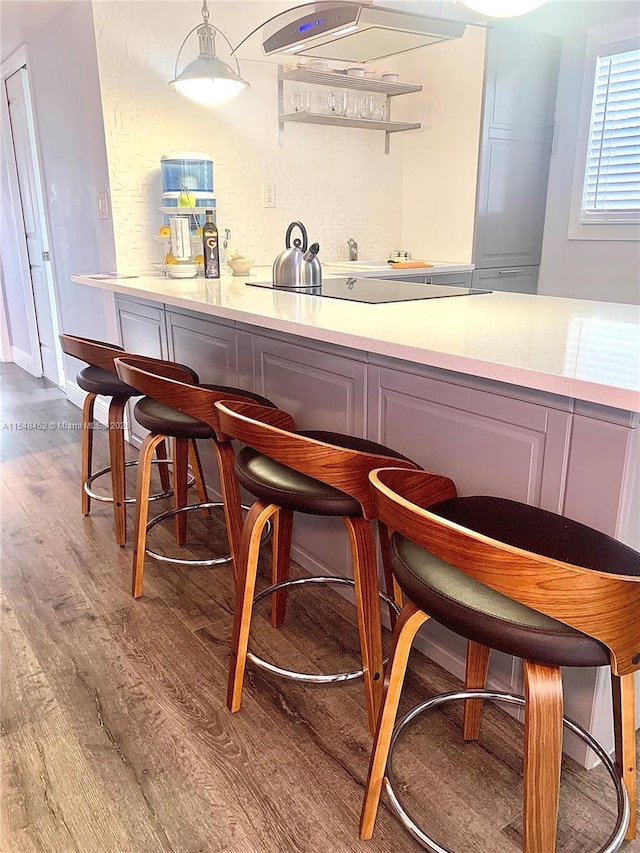 bar featuring exhaust hood, black electric cooktop, and light hardwood / wood-style floors