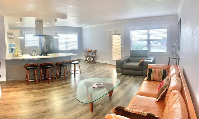 living room featuring ornamental molding and hardwood / wood-style flooring