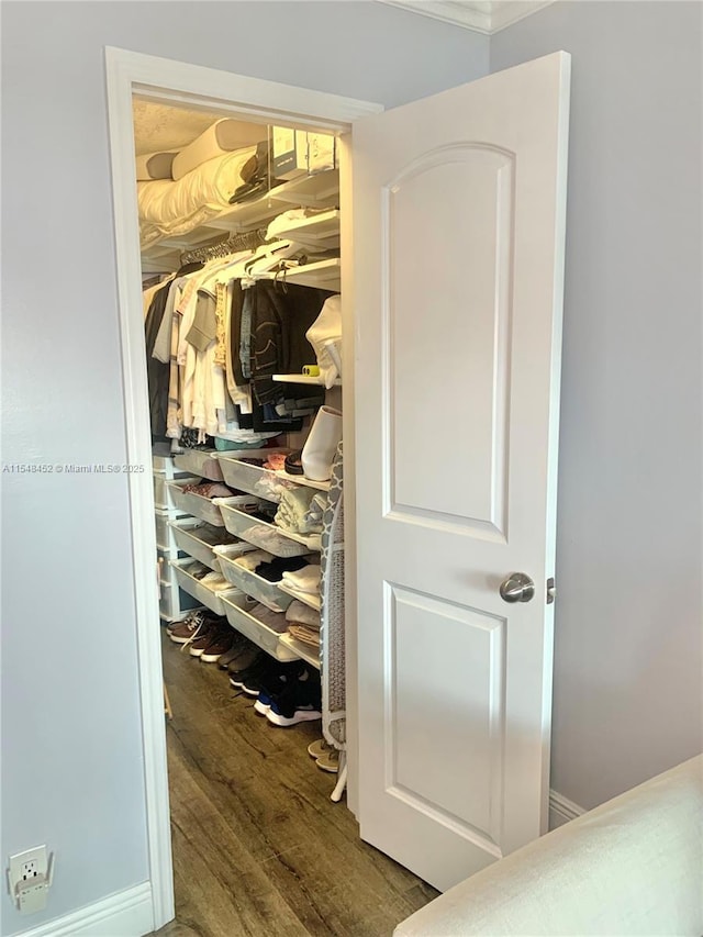 view of closet