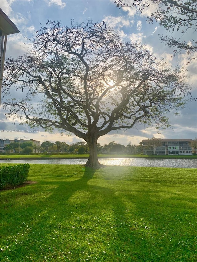 view of property's community featuring a lawn and a water view