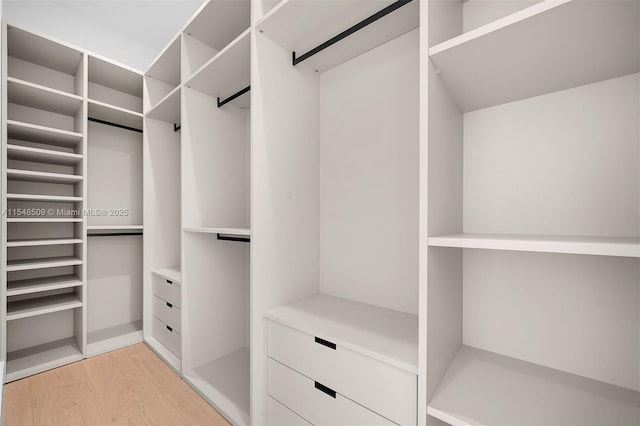 spacious closet featuring light hardwood / wood-style flooring