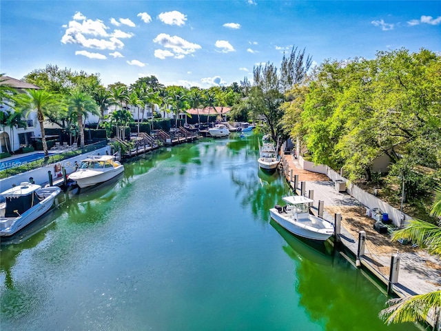 water view featuring a boat dock