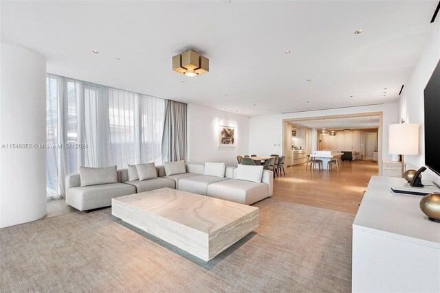 living room featuring light hardwood / wood-style floors