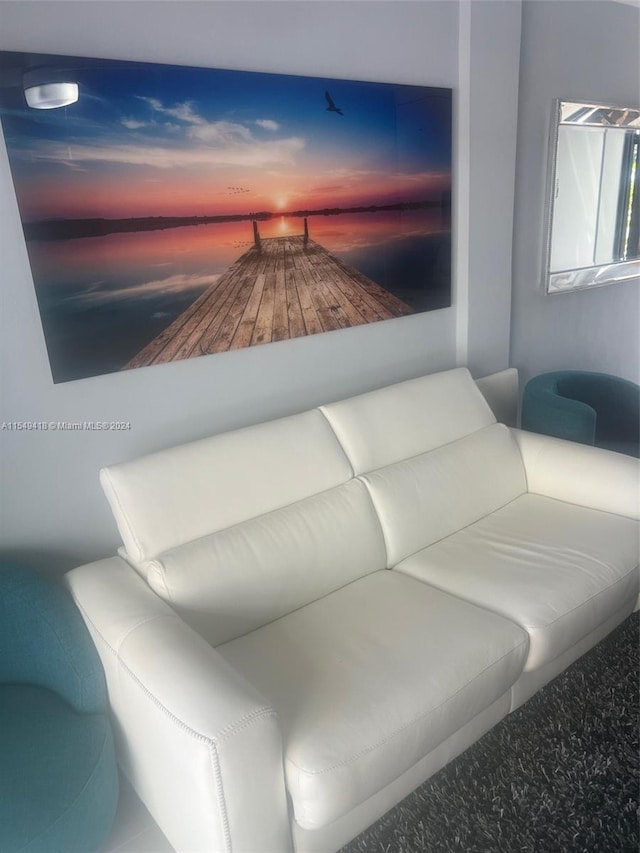 living room featuring carpet floors