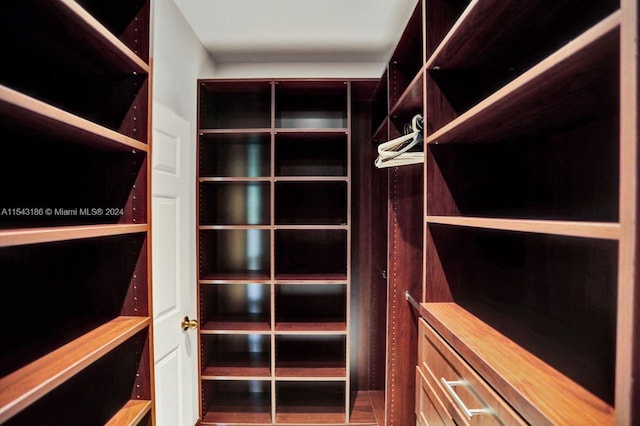 view of walk in closet