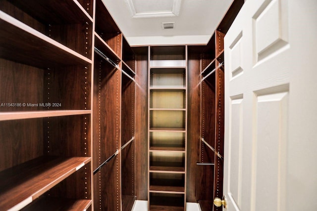 view of walk in closet