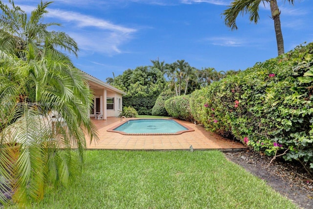 view of pool with a patio area and a yard