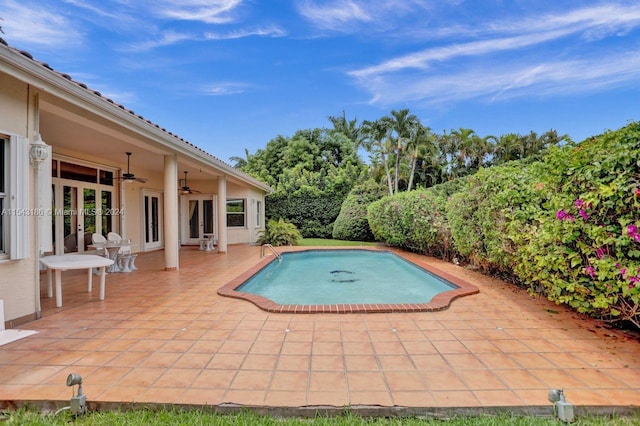 view of swimming pool featuring a patio and ceiling fan