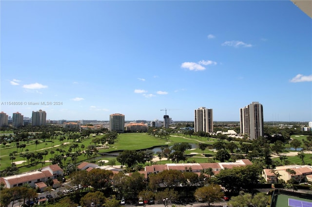 view of bird's eye view