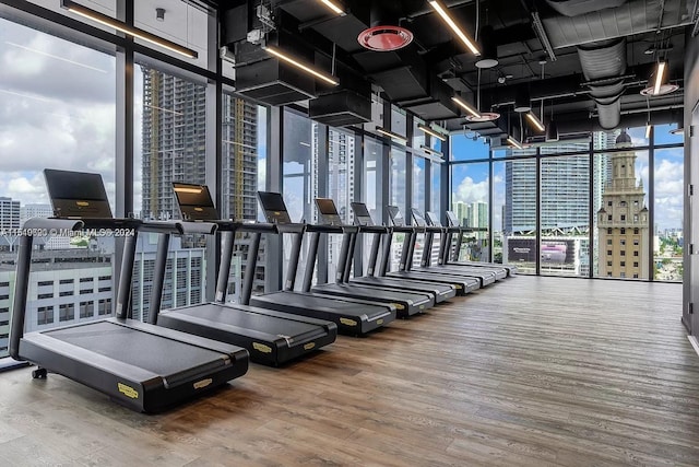 exercise room with floor to ceiling windows and wood-type flooring