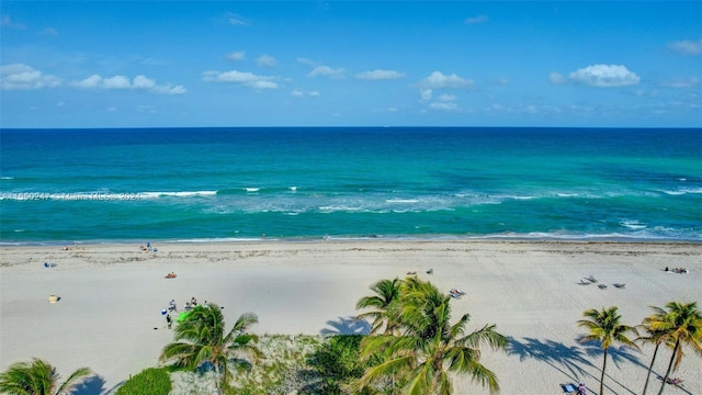 view of water feature featuring a beach view