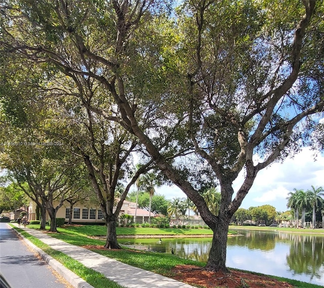 view of home's community with a water view