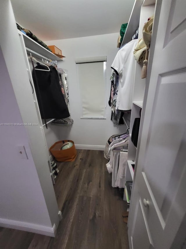 spacious closet featuring dark hardwood / wood-style floors