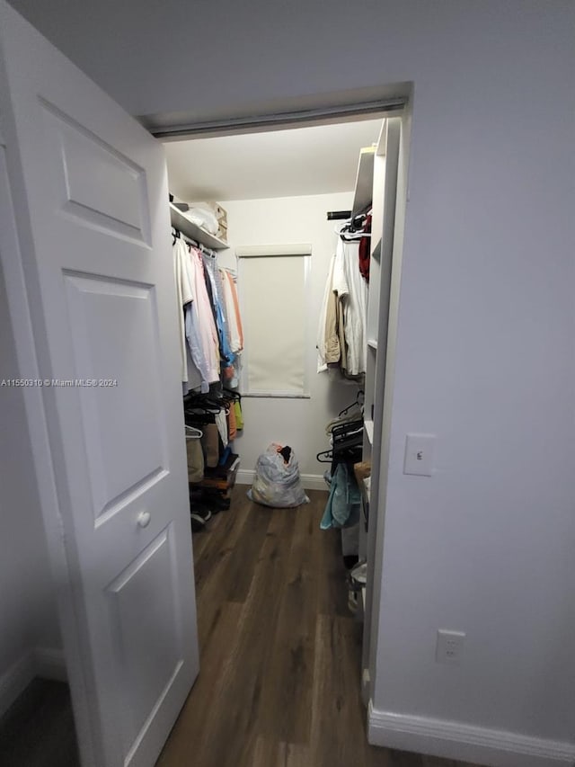 spacious closet with dark hardwood / wood-style floors