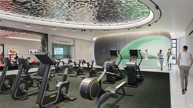 exercise room featuring track lighting and carpet floors